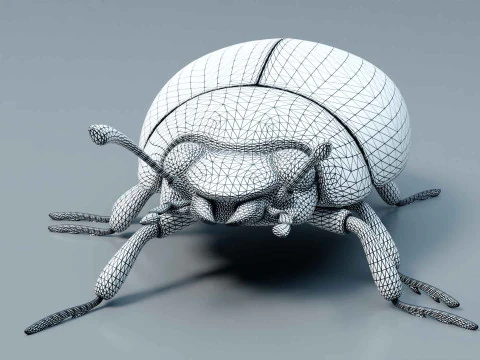 Ladybug stylized 3D Model