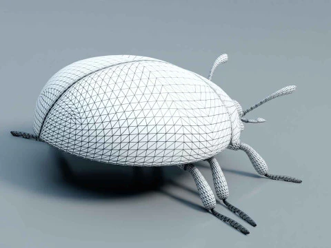 Ladybug stylized 3D Model