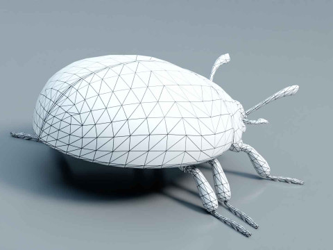 Ladybug stylized Modèle 3D