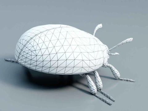 Ladybug stylized 3D Model