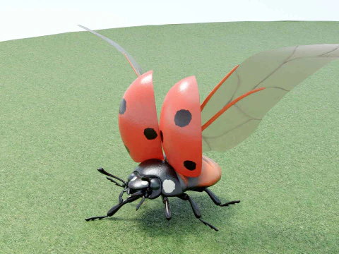 Ladybug stylized 3D Model