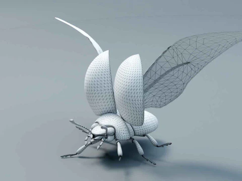 Ladybug stylized 3D Model