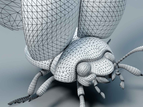 Ladybug stylized Modèle 3D