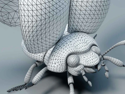 Ladybug stylized 3D Model