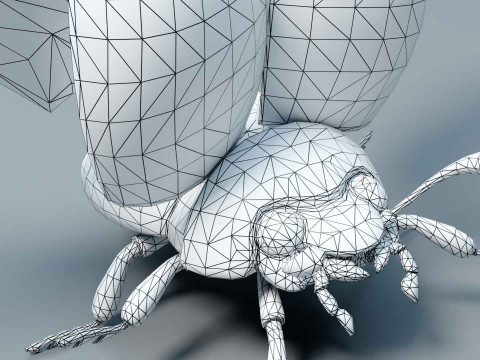 Ladybug stylized Modèle 3D