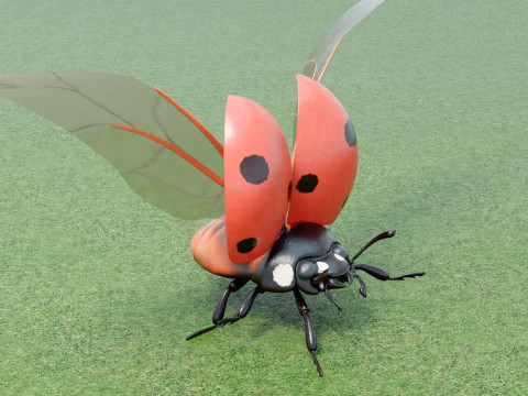 Ladybug stylized Modèle 3D