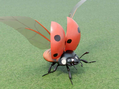 Ladybug stylized 3D Model