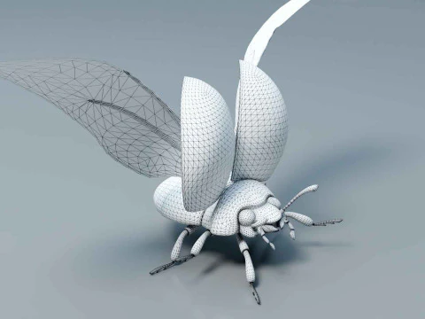 Ladybug stylized 3D Model
