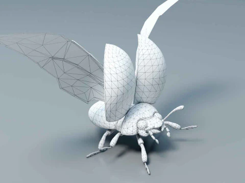 Ladybug stylized 3D Model