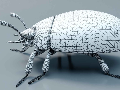 Ladybug stylized Modèle 3D