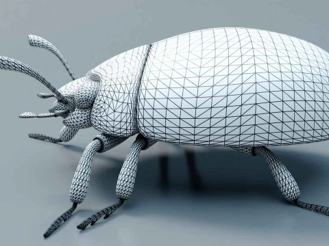 Ladybug stylized 3D Model