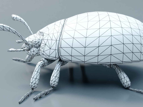 Ladybug stylized Modèle 3D