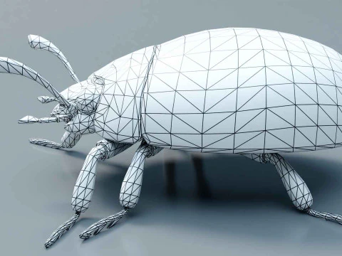 Ladybug stylized 3D Model
