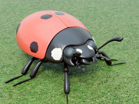 Ladybug stylized Modèle 3D