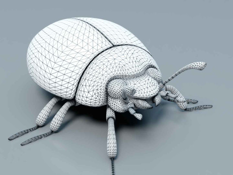 Ladybug stylized Modèle 3D