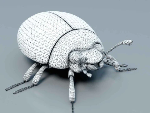 Ladybug stylized 3D Model