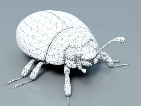 Ladybug stylized 3D Model