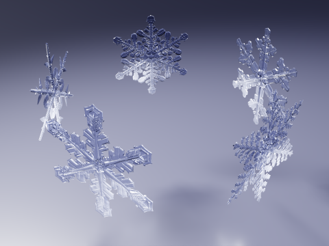 Kar taneleri 3D Model