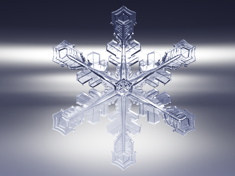 Kar taneleri 3D Model