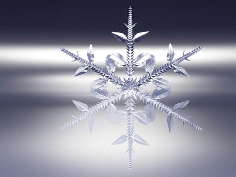 Kar taneleri 3D Model