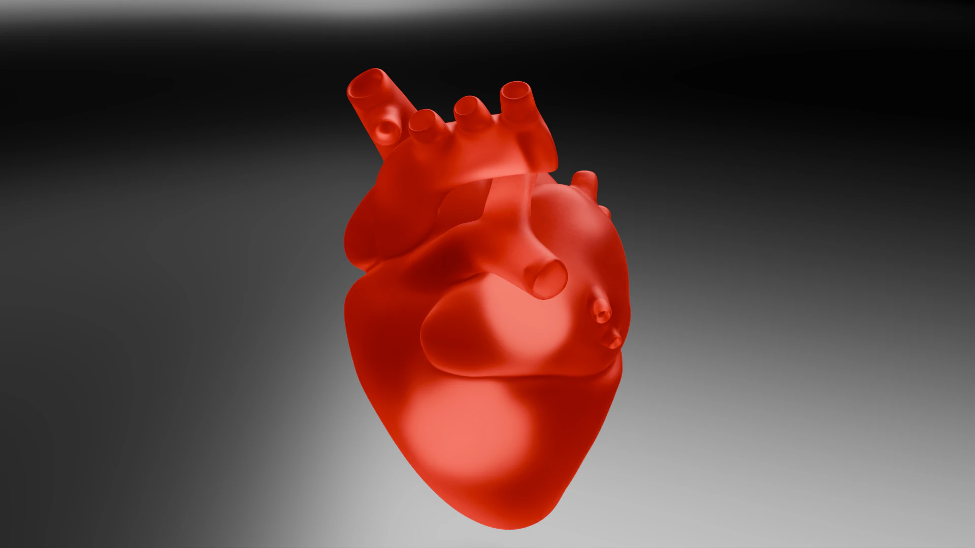Heart 3D Model .c4d .max .obj .3ds .fbx .stl .blend 