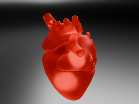 Cora&ccedil;&atilde;o Modelo 3D