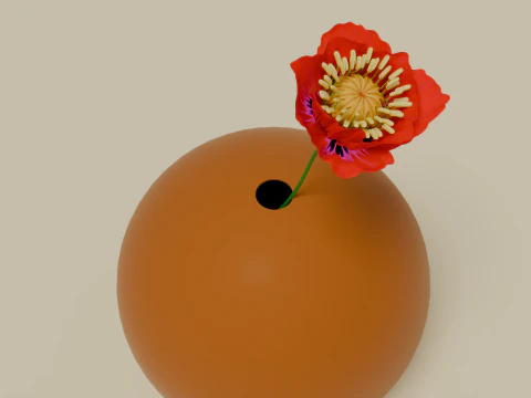 Poppy flower 3D Model