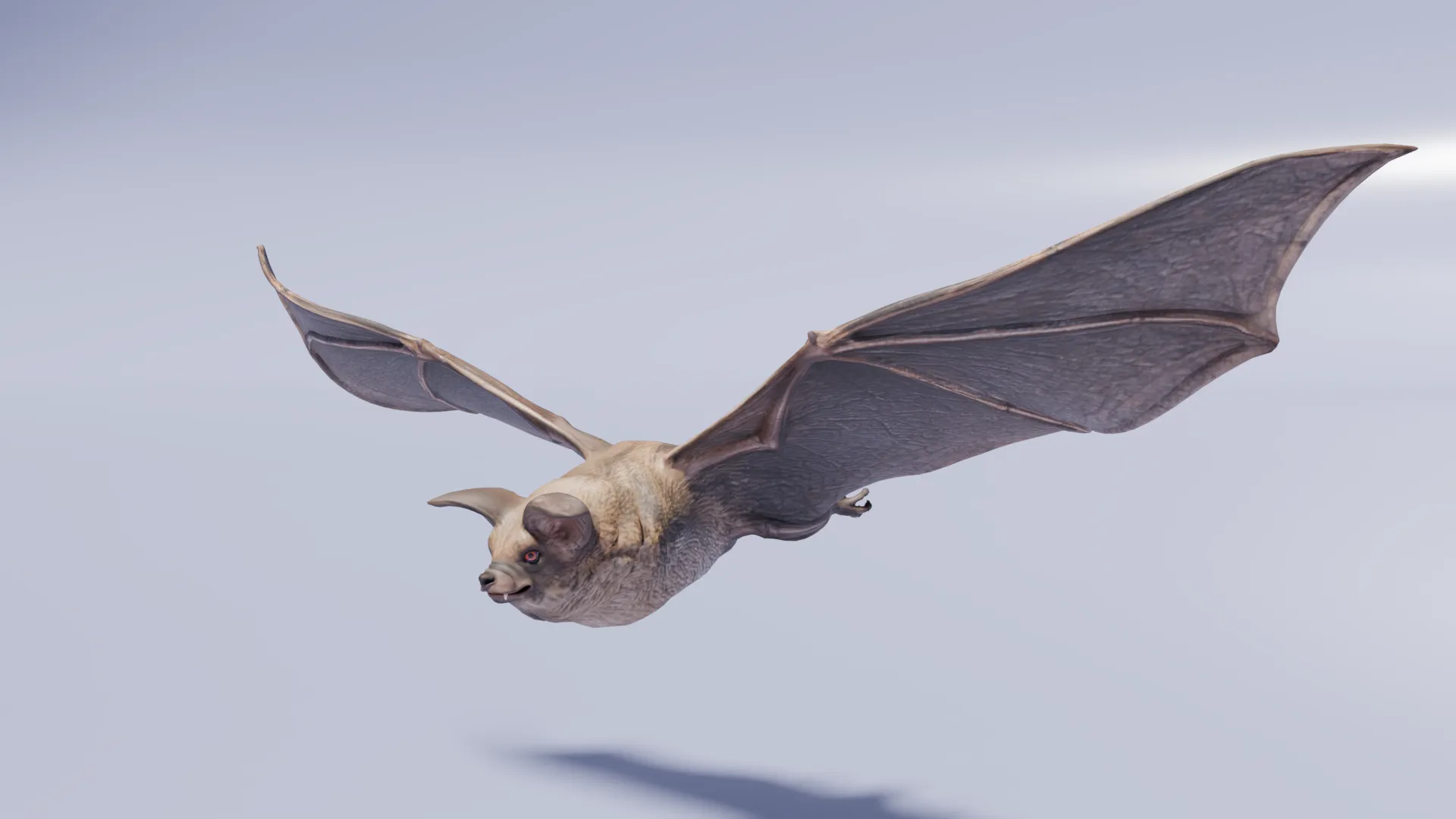 Flying bat 3D Model .c4d .max .obj .3ds .fbx .stl .blend 