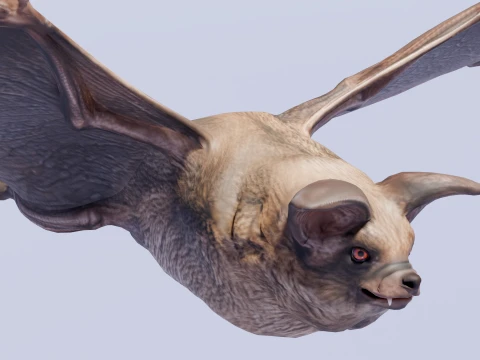 Flying bat 3D Model
