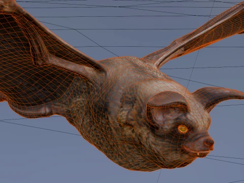 Flying bat 3D Model