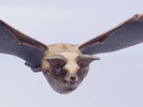 Flying bat 3D Model