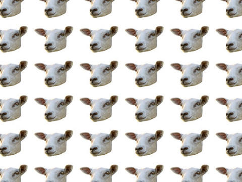 Sheep head isolated photo motif seamless pattern Texturas CG
