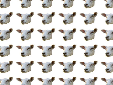 Sheep head isolated photo motif seamless pattern CG Textures