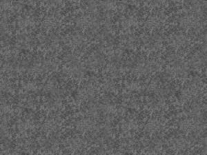 cody cat 3D Модель