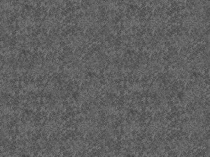 コーディ猫 3Dモデル