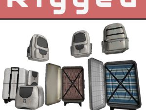 four trip bags Model 3D