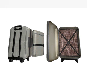 trip bags rigged 3D Model