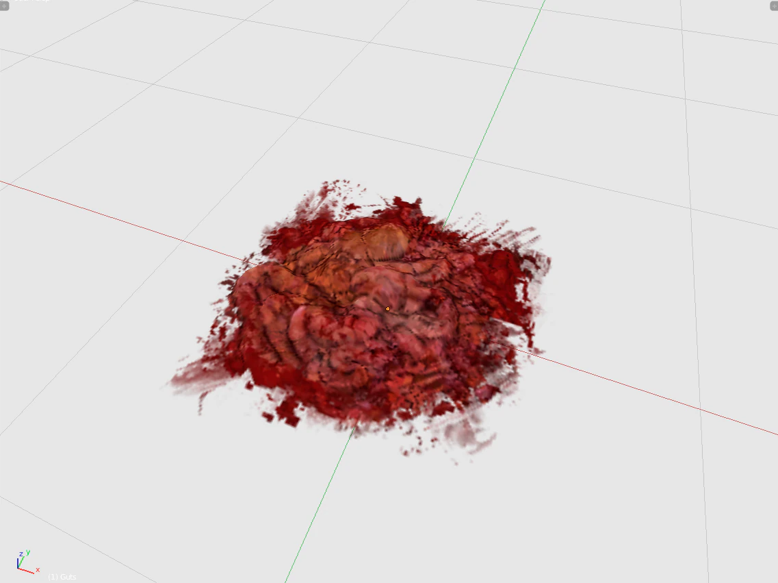 guts 3d decal model 3D Model .c4d .max .obj .3ds .fbx .stl .blend