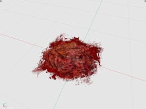 guts 3d decal model 3D Model