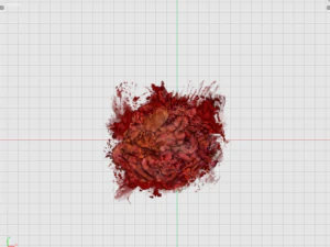 guts 3d decal model 3D Model