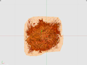 guts 3d decal model 3D Model