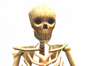 medieval skeleton low poly 3D Model