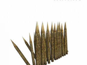 medieval catcher 3D Model