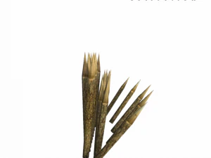 medieval catcher 3D Model