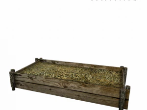 trough with hay 3D Model