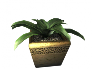 plant in a pot game ready 3D Model