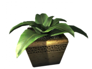 plant in a pot game ready 3D Model