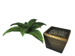 plant in a pot game ready 3D Model