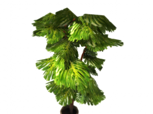 plant in a pot game ready 3D Model