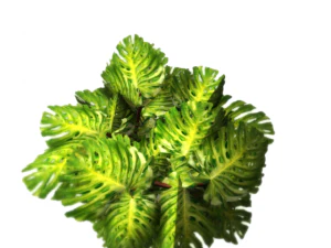 plant in a pot game ready 3D Model